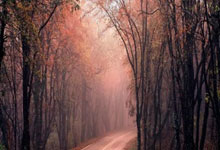 楞严经全文读诵卷二,楞严经卷二原文读诵