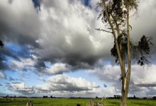 楞严经简体注音版,楞严经带拼音全文