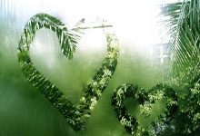 楞严经白话文全文,楞严经白话文全文完整版